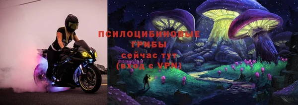 прущая мука Верея