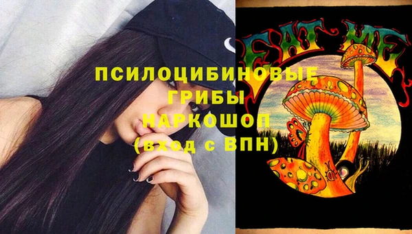 шишки Бородино