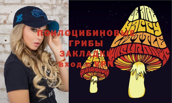 гашик Верхний Тагил