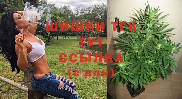 гашик Верхний Тагил