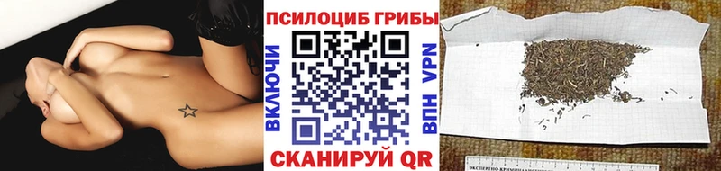 даркнет телеграм  Чегем  Псилоцибиновые грибы Magic Shrooms  хочу наркоту 